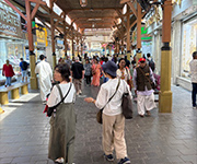 ダノン旅行